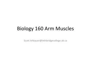 Biology 160 Arm Muscles