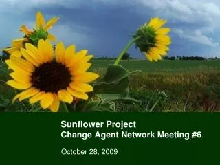 Sunflower Project Change Agent Network Meeting #6