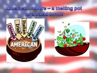 American Culture – a melting pot or a salad bowl ?