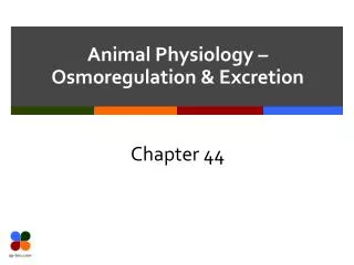 Animal Physiology – Osmoregulation &amp; Excretion