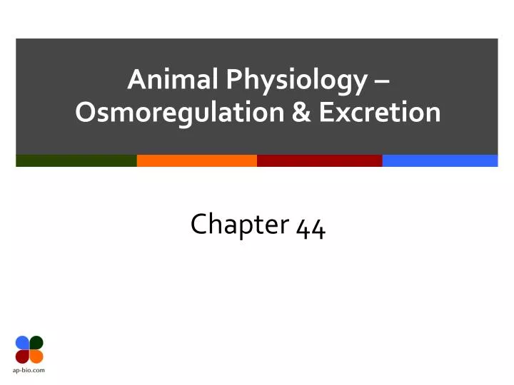 animal physiology osmoregulation excretion