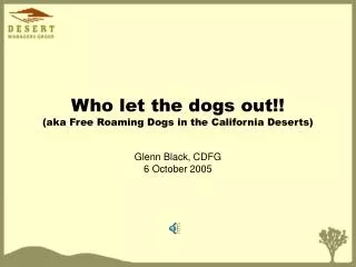 Who let the dogs out!! (aka Free Roaming Dogs in the California Deserts)