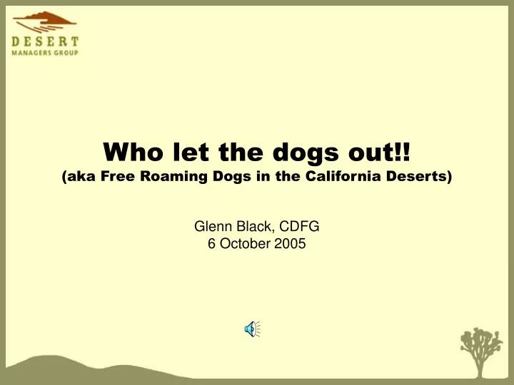who let the dogs out aka free roaming dogs in the california deserts