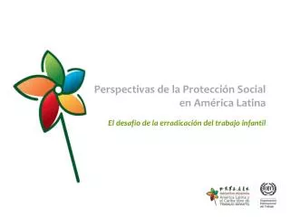 Perspectivas de la Protección Social en América Latina
