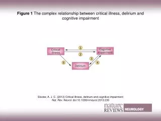 Figure 1 The complex relationship between critical illness, delirium and cognitive impairment