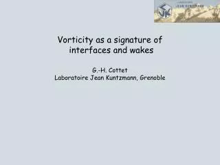Vorticity as a signature of interfaces and wakes