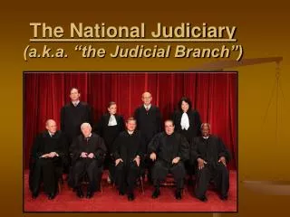 The National Judiciary (a.k.a. “the Judicial Branch”)