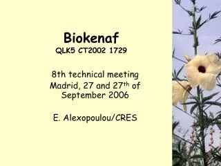 Biokenaf QLK5 CT2002 1729