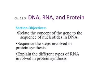CH. 12.3 : DNA, RNA, and Protein