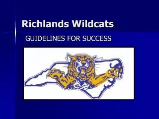 Richlands Wildcats