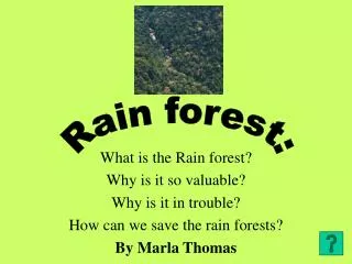 What is the Rain forest? Why is it so valuable? Why is it in trouble?