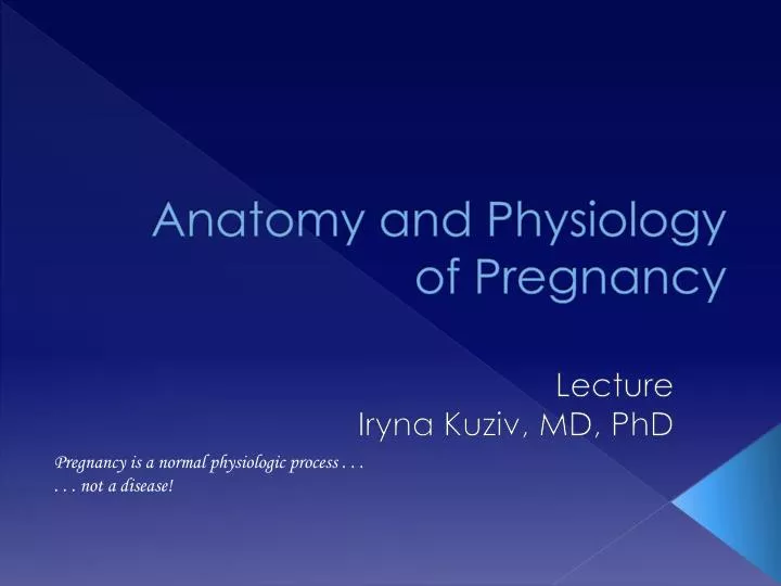 anatomy and physiology of pregnancy