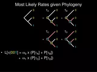 Most Likely Rates given Phylogeny