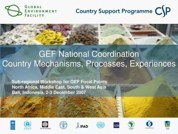 gef national coordination country mechanisms processes experiences