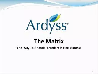 The Matrix The Way To Financial Freedom in Five Months!