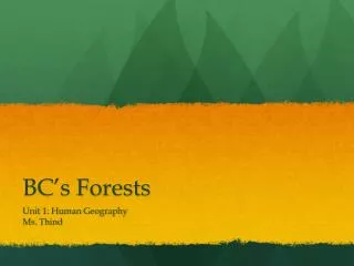BC’s Forests