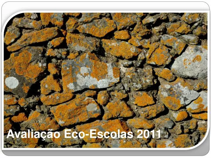 avalia o eco escolas 2011