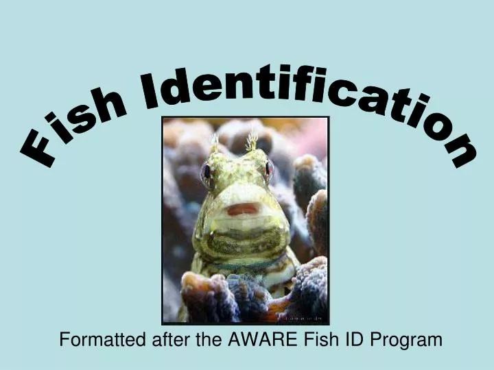 formatted after the aware fish id program