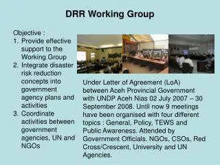 DRR Working Group