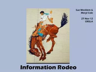 Information Rodeo