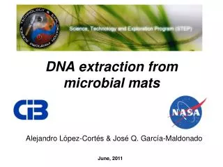 DNA extraction from microbial mats