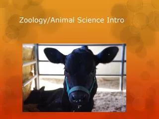 Zoology/Animal Science Intro