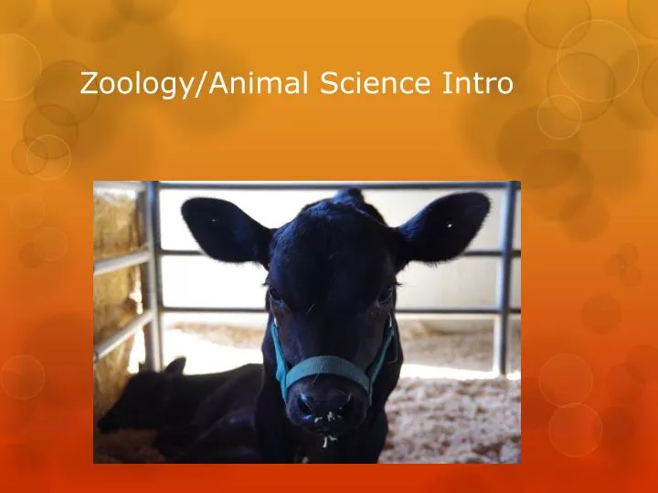 zoology animal science intro