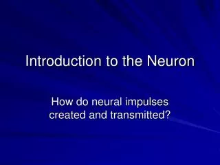 Introduction to the Neuron