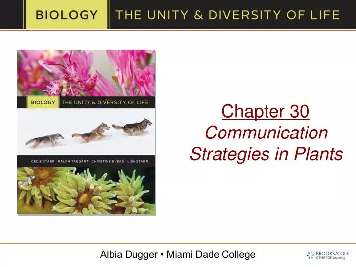 chapter 30 communication strategies in plants
