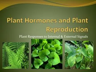 Plant Hormones and Plant Reproduction