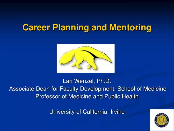career planning and mentoring