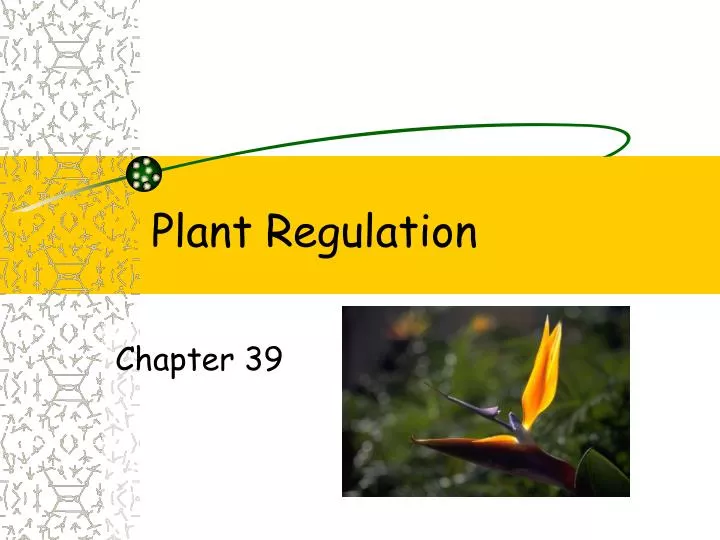 plant regulation