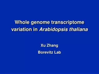 Whole genome transcriptome variation in Arabidopsis thaliana Xu Zhang Borevitz Lab