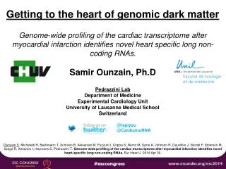 Getting to the heart of genomic dark matter