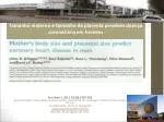Predicting Heart Disease through Maternal Body and Placental Size - slide 1