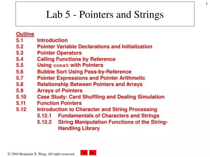 lab 5 pointers and strings