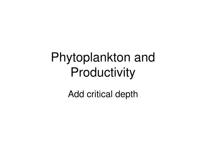 phytoplankton and productivity