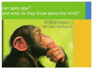 can apes ape? and what do they know about the mind?