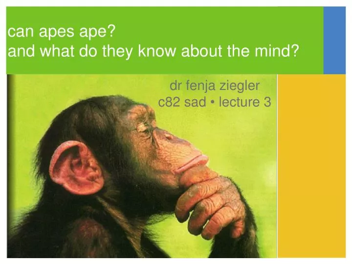 can apes ape and what do they know about the mind
