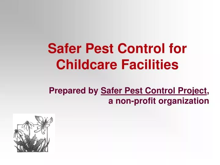 safer pest control for childcare facilities