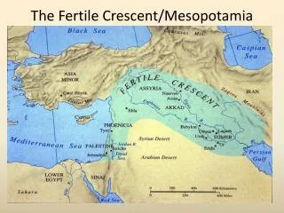 The Fertile Crescent/Mesopotamia