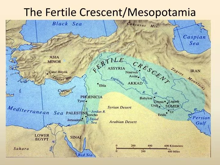 the fertile crescent mesopotamia