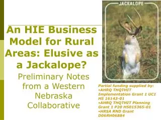 An HIE Business Model for Rural Areas: Elusive as a Jackalope?