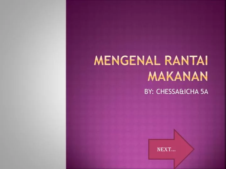 mengenal rantai makanan