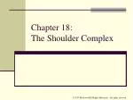 Chapter 18: The Shoulder Complex - slide 1