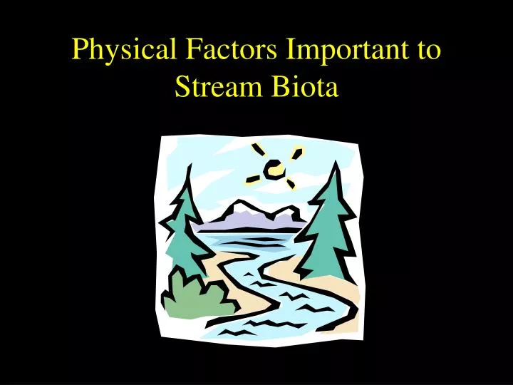 physical factors important to stream biota