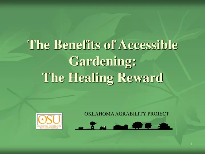 the benefits of accessible gardening the healing reward