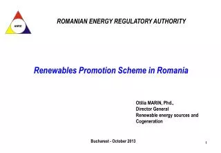 Renewables Promotion Scheme in Romani a