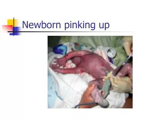 Newborn pinking up