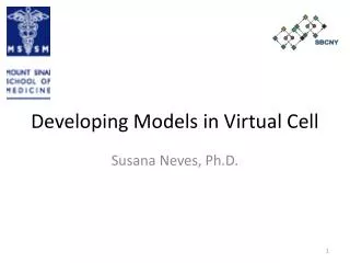 Developing Models in Virtual Cell